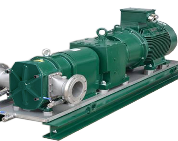 廣州轉(zhuǎn)子泵