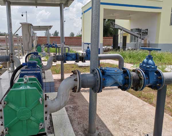 螺桿泵與轉子泵