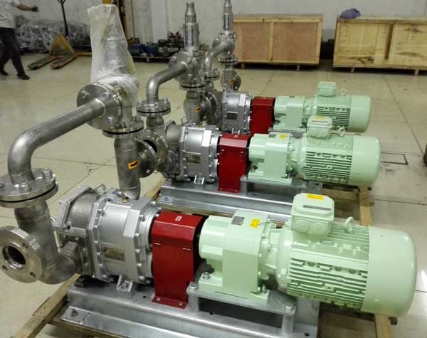 不銹鋼轉(zhuǎn)子泵價格大概多少錢?有哪些因素影響?