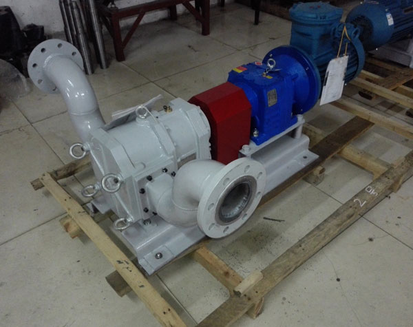 凸輪式轉(zhuǎn)子泵