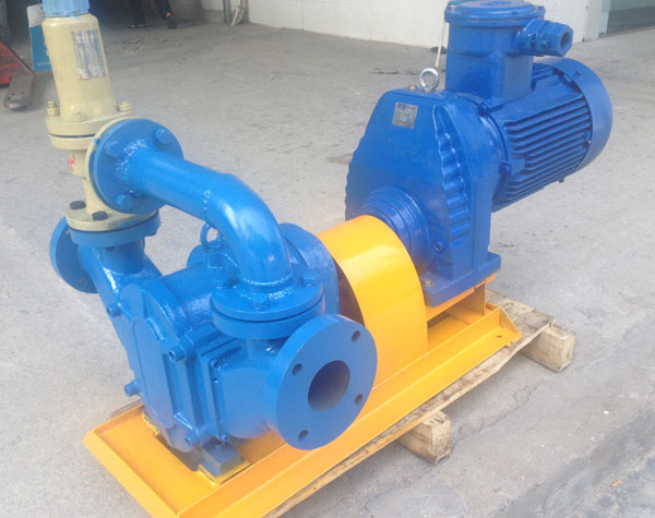 旋轉凸輪泵有哪些產(chǎn)品特點?工作性能怎么樣?